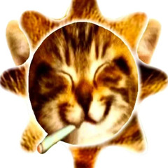 one take (prod goatloat)