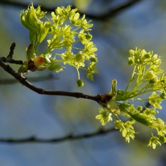 Håll min låga igång - Hutter Inspiring Group