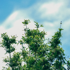 Weekend to Sedona (raw release)