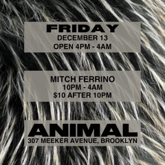 LIVE at Animal NYC - 12-13-24