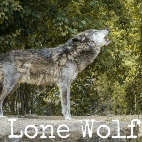 Lone Wolf