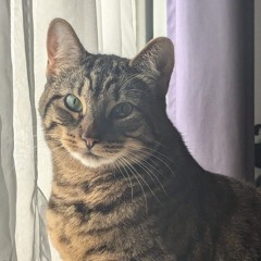 Meaty Beat [Beat Battle]