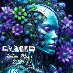 Detox Mix 2024