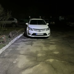Avensis