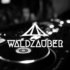 DJ Wasserfall | Waldzauber-Festival 2022 | Saturday