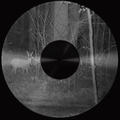 εήʝσɣ τћε Ŧяเק