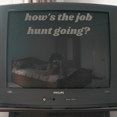 how's the job hunt going?