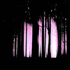 A Dark Dark Dark Machine