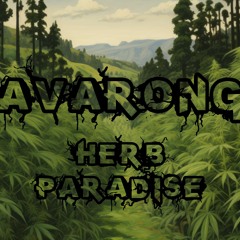 Herb Paradise