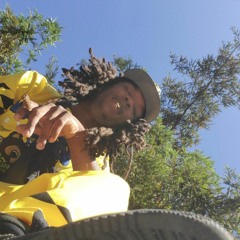 MoneyMeech - Doing Everything