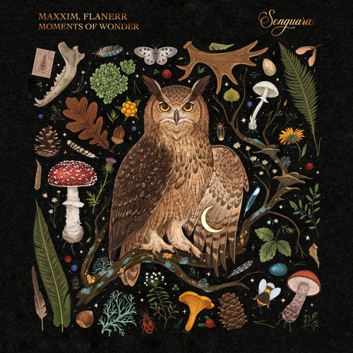 PREMIERE: Maxxim, flanerr - Moments of Wonder [Songuara]