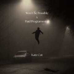 Won't Be Possible x Paid Programming [Katz Cut]