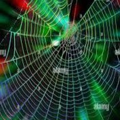 Spider Fences