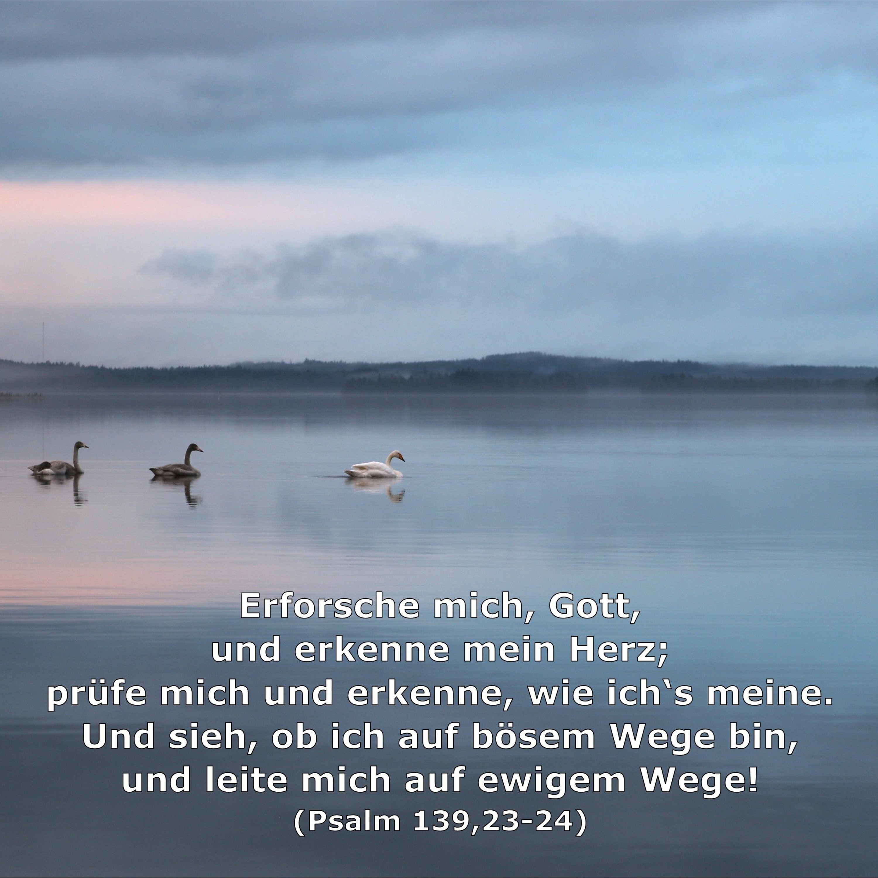 In einem Jahr durch die Bibel