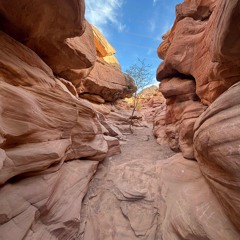 what are you willing to do