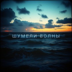 Шумели Волны