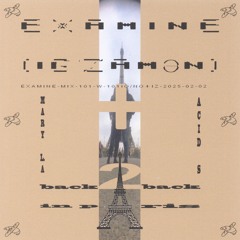 examine-mix-101-w-101io/no+iz-2025-02-02