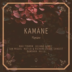 Max TenRom - Kamane (Richard Elcox & Matija Remix)