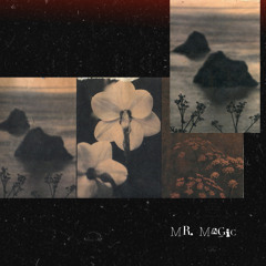 Mr. Magic (cover feat. Luke Robertson)