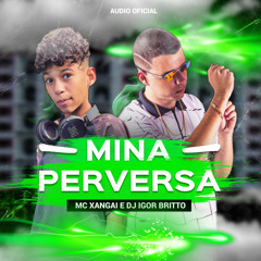 AI AI AI QUE MINA PERVERSA / TIPO CINDERELA  -DJ IGOR BRITTO E MC XANGAI