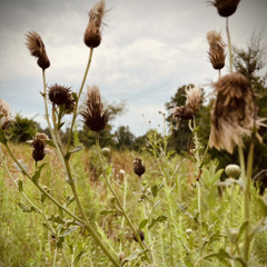 Something feels heavy- Sidney smith