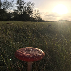 Techno Set by Emmo Pi - REC. LIVE 2021-10-12.