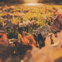 Spiritito - Autumn Shamanic Yoga