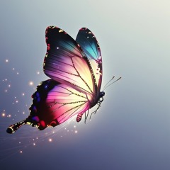 Naor Daniel - TLV Fever