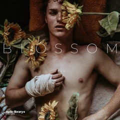 Blossom - SOMM | Free Background Music | Audio Library Release