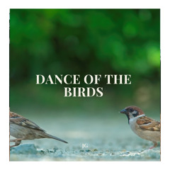 Dance Of The Birds