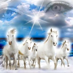 OS CAVALOS NAO PARAM.wav