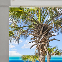 South florida beach rentals