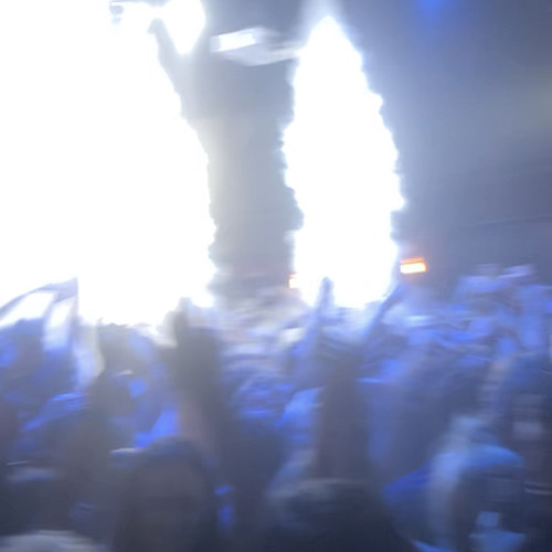 MAGIC TREEHOUSE :( auburn ):