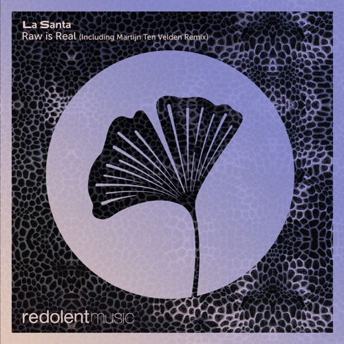 RDT100 La Santa - Raw is Real (Including Martijn Ten Velden Remix)