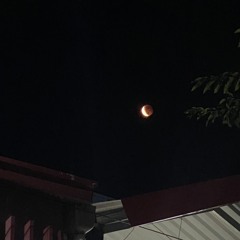 Tại Vì Em (Music Box) -Buitruonglinh