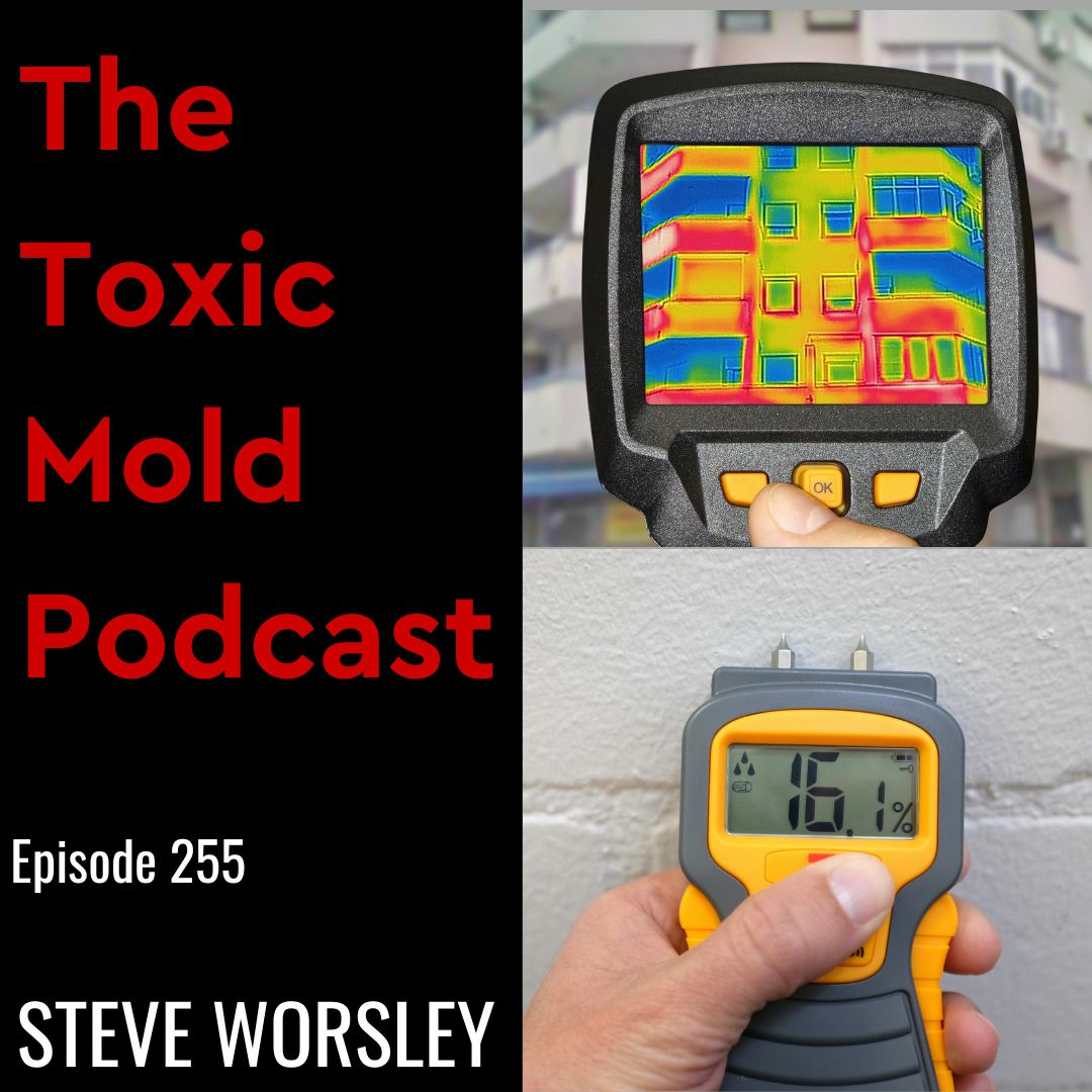 The Toxic Mold Podcast