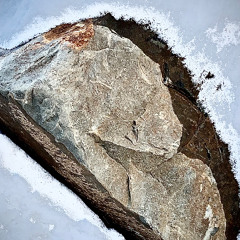 Open My Eyes, Beauty, to Your Abundace, This Earth