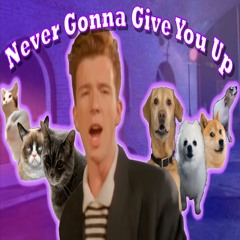 Never Gonna Give You Up (Dog & Cat Version)