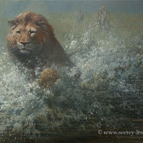 I Wish I May I Wish I Might