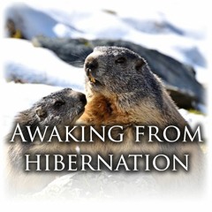 Awaking from hibernation