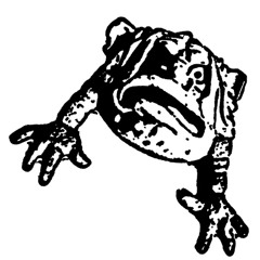 Ali Robertson | I Used To Be An Improviser Pt. I (Excerpt)