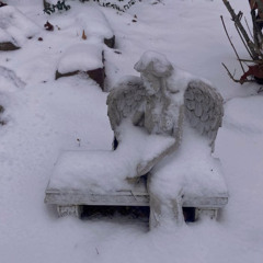 frozenn