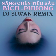 Nâng Chén Tiêu Sầu remix - SIWAN rmx (133bpm)