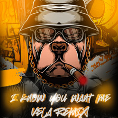I Know You Want Me - Vela (BR) (FREE DOWNLOAD)