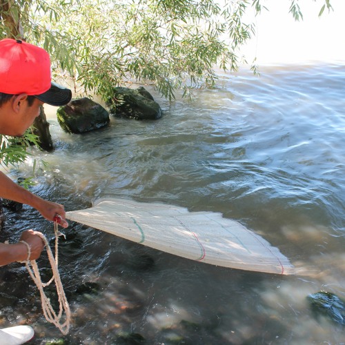 El Rancho Charalero, un arte de pesca milenario en el Lago de Chapala