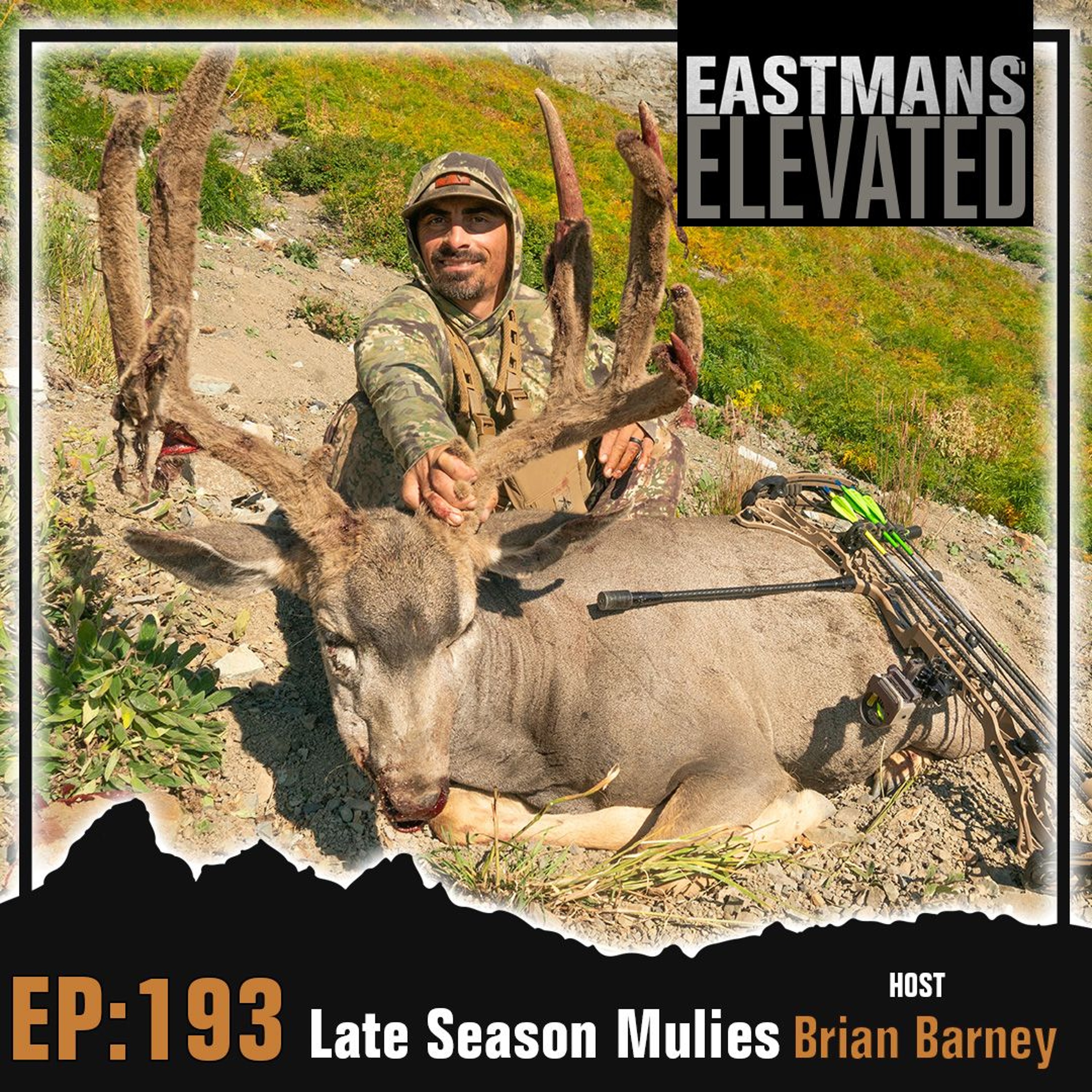 Eastmans\' Elevated