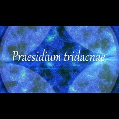 [#S9B2020] Praesidium tridacnae