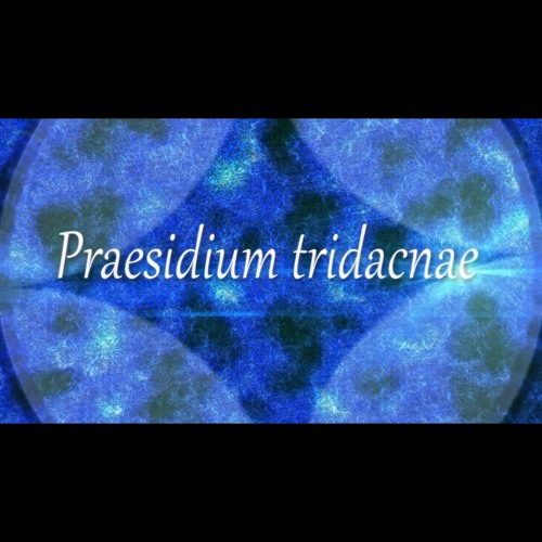 [#S9B2020] Praesidium tridacnae