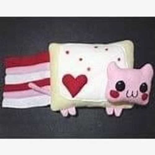 NYAN CAT SUICIDE NOTE 2012 (RARE)