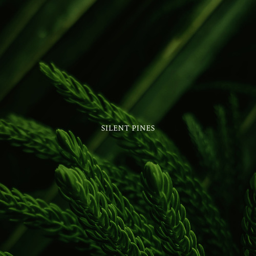 Silent Pines